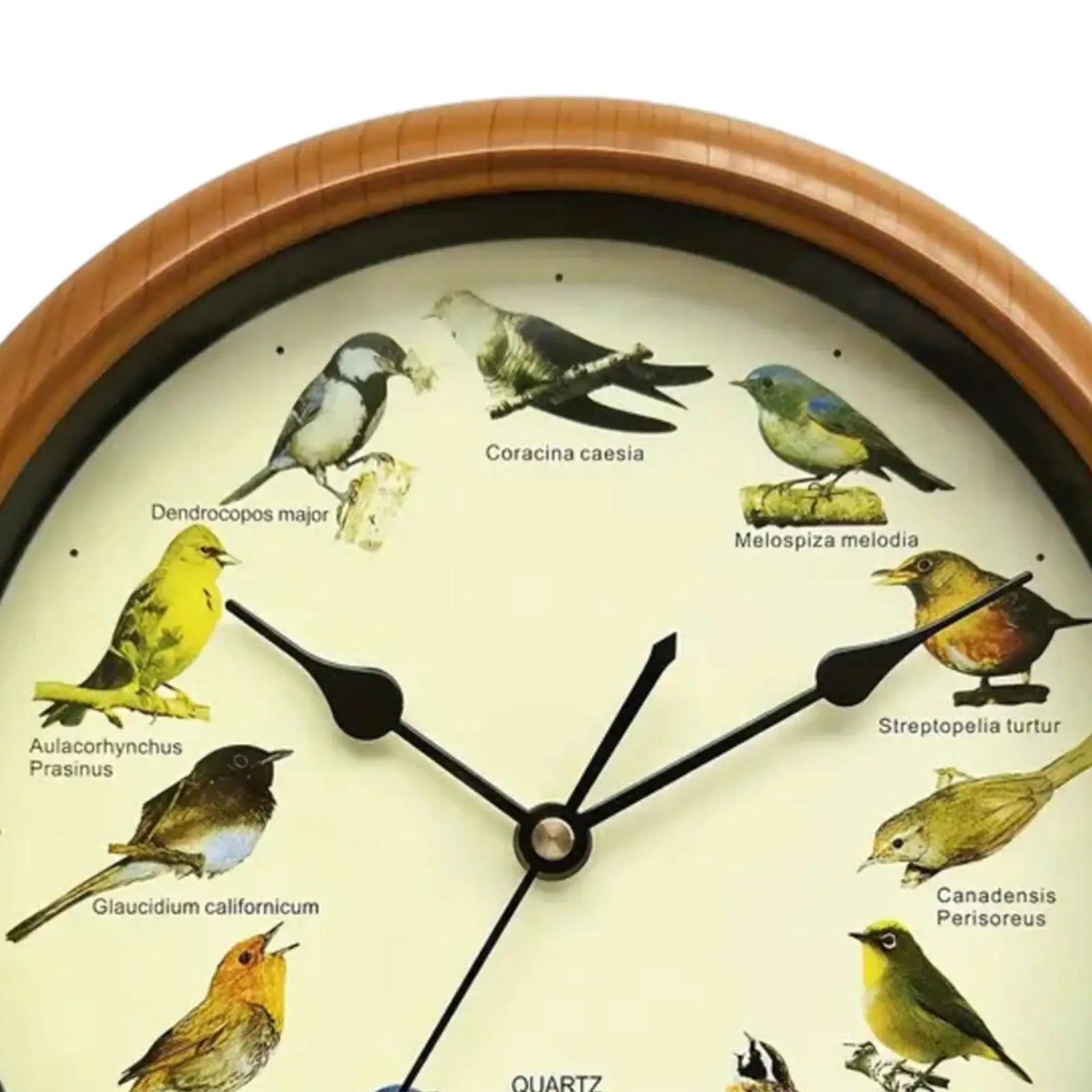 Horloge murale oiseaux