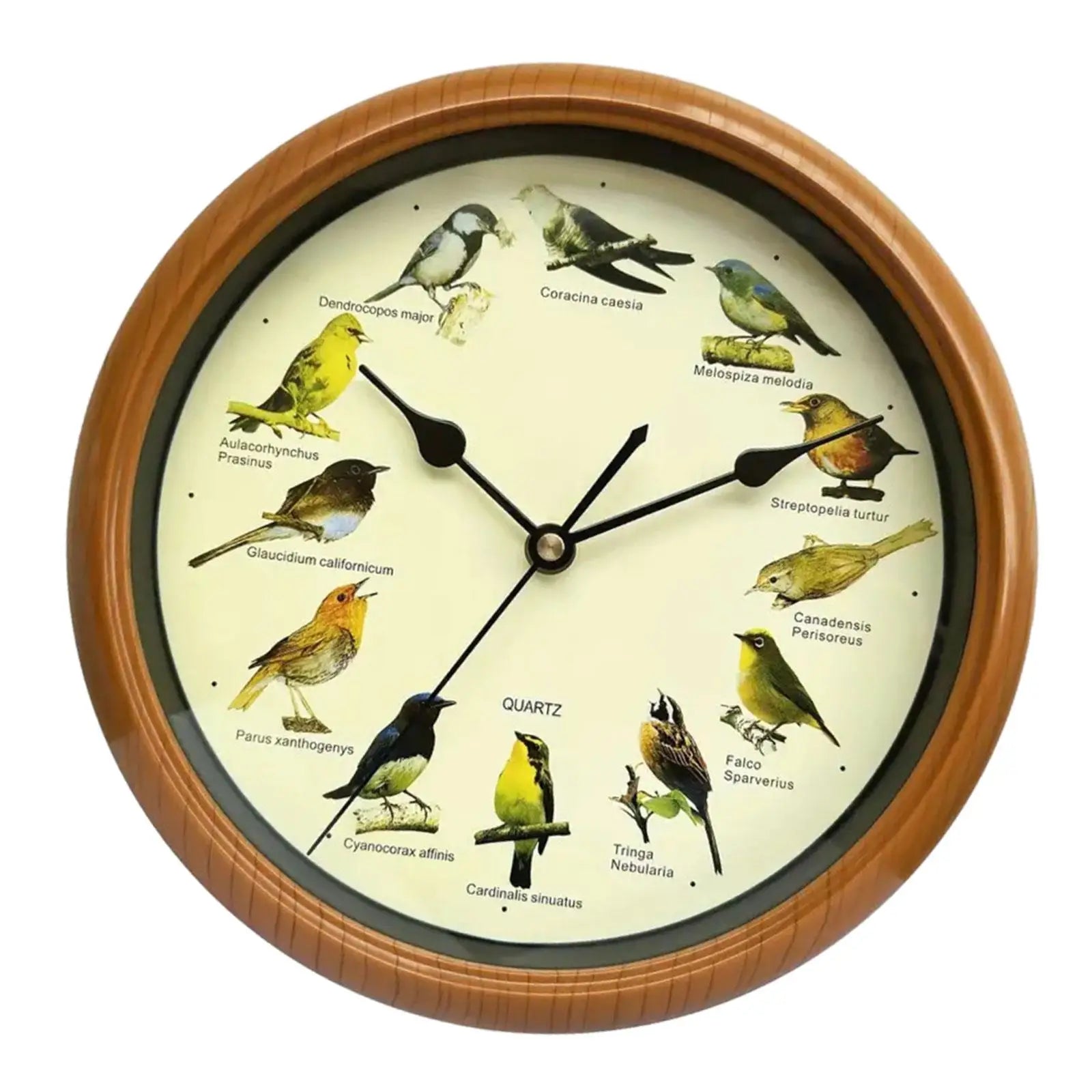 Horloge murale oiseaux originale
